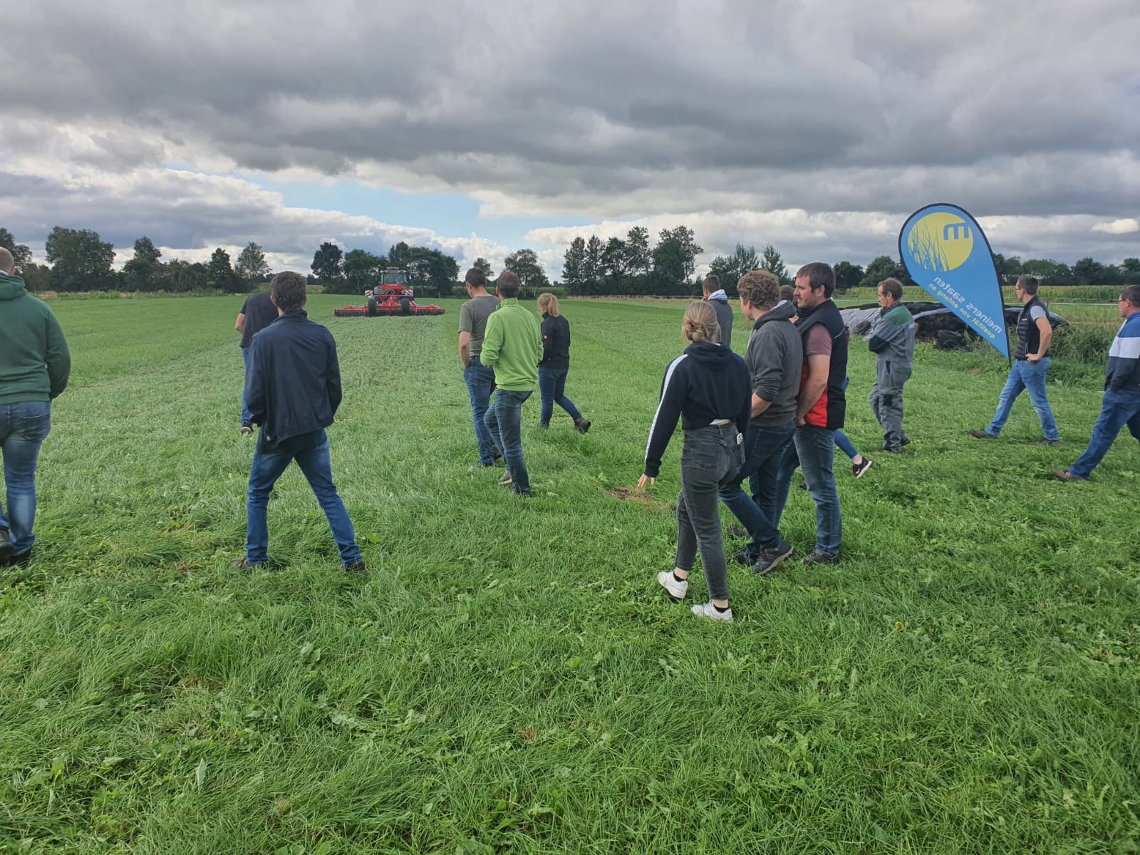 Kontrolle des Striegels